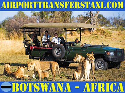 Botswana Best Tours & Excursions - Best Trips & Things to Do in Botswana