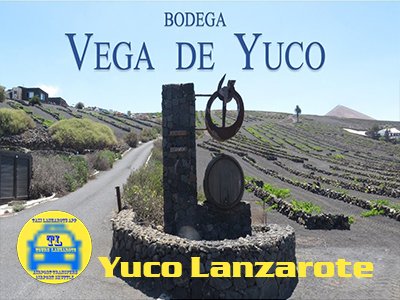Airport Transfers Taxi Yuco Lanzarote