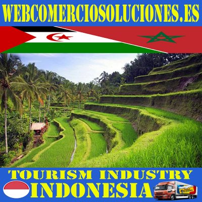 Excursions Indonesia | Trips & Tours Indonesia | Cruises in Indonesia - Best Tours & Excursions - Best Trips & Things to Do in Indonesia : Hotels - Food & Drinks - Supermarkets - Rentals - Restaurants Indonesia Where the Locals Eat