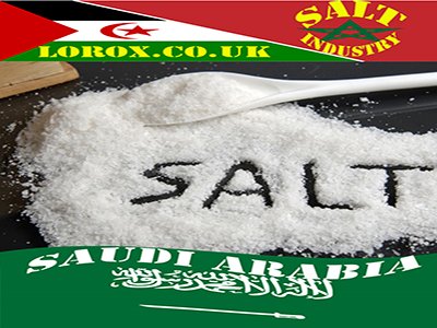 Food Industry Saudi Arabia Logistics & Freight Shipping Saudi Arabia - Cargo & Merchandise Delivery Saudi Arabia